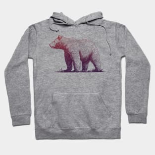 Beary Beautiful Graphic Grizzly Hoodie